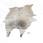 Cowhide Rug