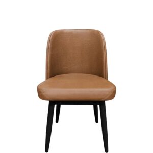 Bucket Dining Chair
