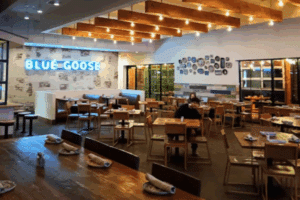 Blue Goose Installation