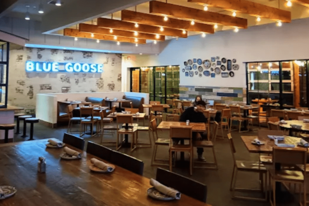 Blue Goose Installation